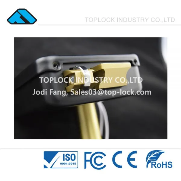Electric Rim Door Lock Electronic Lock With Brass Roll Black Spray photo-3