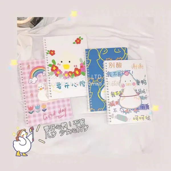Botebook photo-2