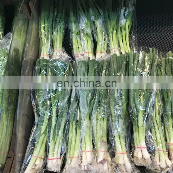 China Manufacturer Vegetable Horizontal Pillow Packaging Machine photo-5