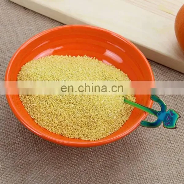 Wholesales Restaurant Used Plastic Melamine Ramen Bowl photo-3