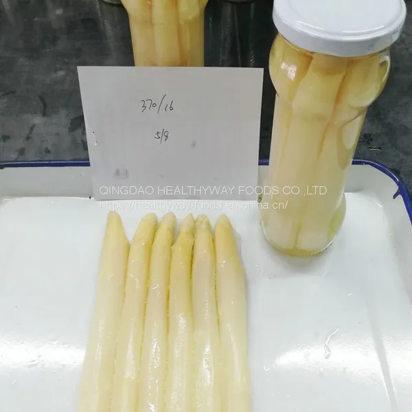 Canned White Asparagus