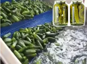 Professional Full Automatic Canned Pickles Vegetables Cucumber Production Line photo-3