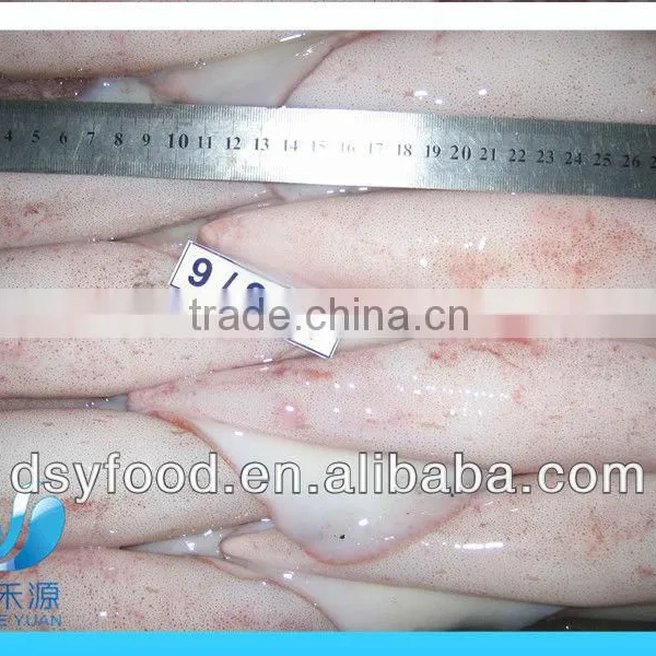 Frozen Whole Baby Squid photo-2