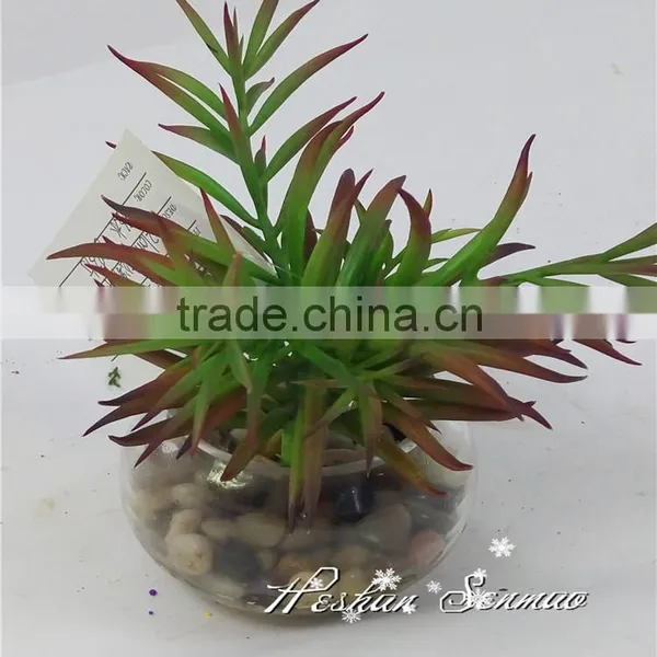 Hot Sale Indoor Decorative Competitive Price Artificial Potted Succulents With Competitive Price photo-4