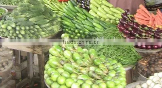 Fresh Vegetables