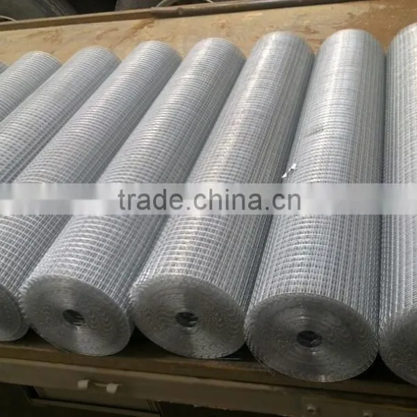 Low Price Electro Galvanized Welded Wire Mesh Made in China photo-4