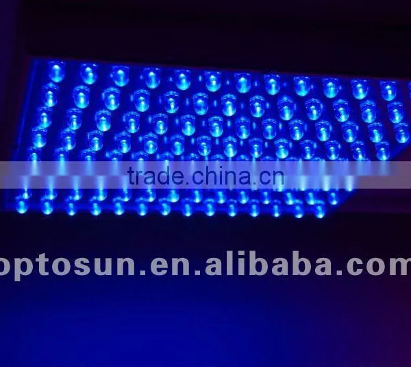 LED Grow Lights/LED Grow Panel With Full Blue LEDs