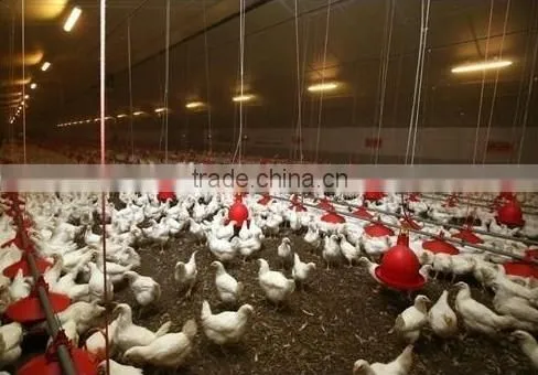 Automatic Poultry Farm House for Broilers