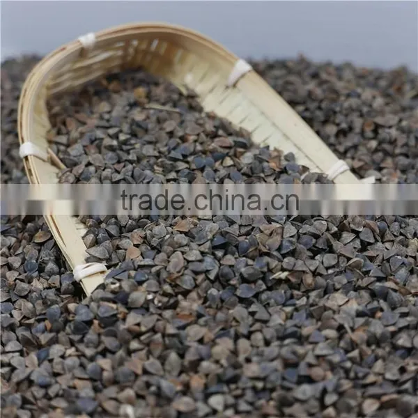 High Quality Raw Buckwheat Price