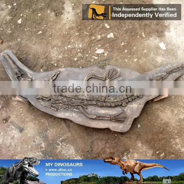 MY Dino-C096 Artificial Realistic Dinosaur Fossil Specimen photo-6