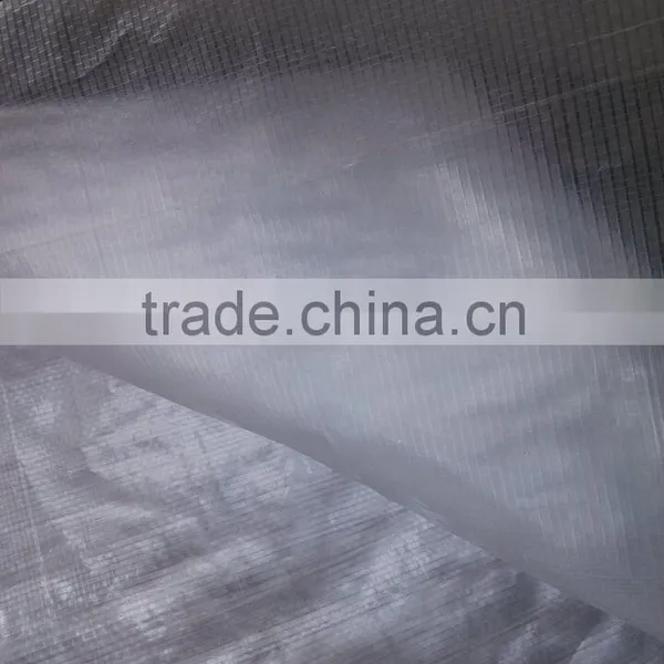 Clear Transparent pe Laminated Fabric Grape Tree Cover photo-6