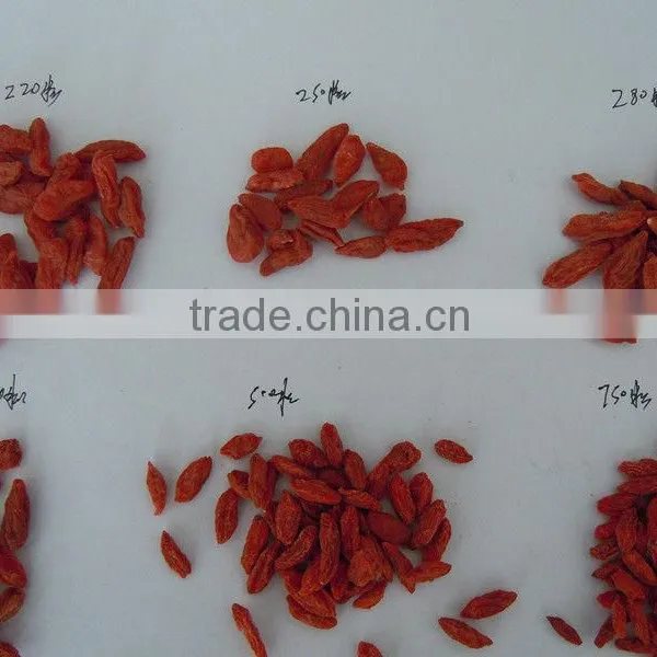 280 Grains Organic Goji Berries