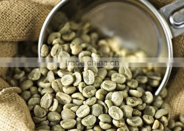 VIETNAM ROBUSTA COFFEE S16 GRADE 1 (Mobile: 0084965152844)