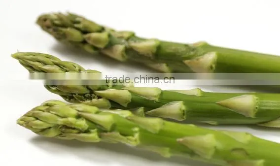 Frozen Asparagus, IQF Asparagus photo-4