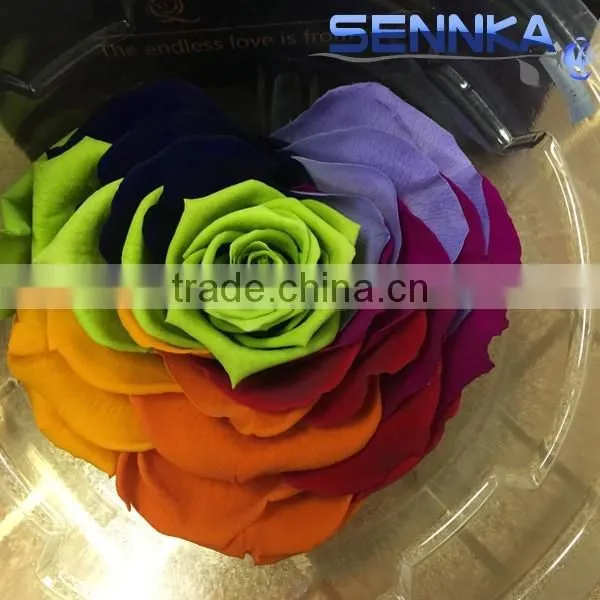 Heartshaped Long Life Rose Preserved Flowers for Arrangement photo-6