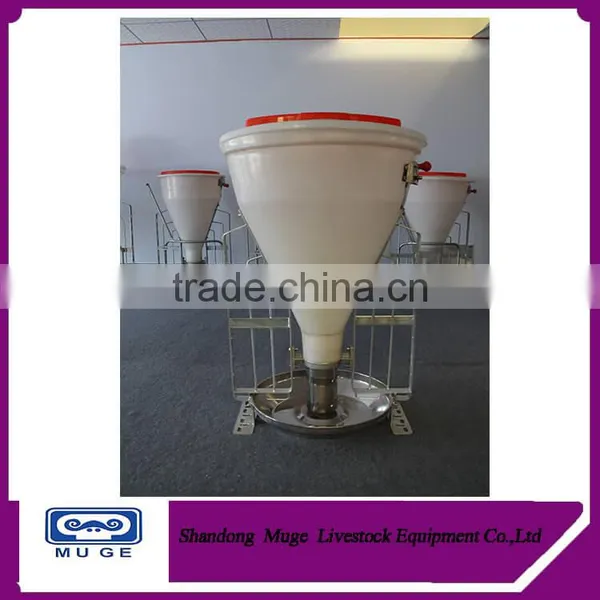 Pig automatic feeder in animal feeders