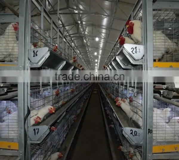 Battery Cages photo-5