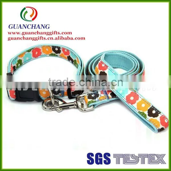 Hot Saleable Pet Collars and Leads