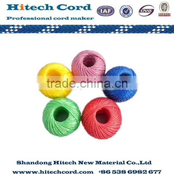 Quality Agriculture PP Baler Twine for Tomato Tree