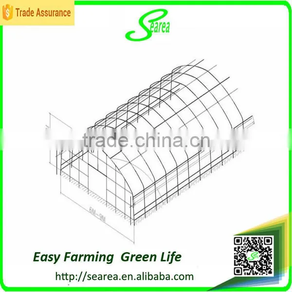 Single Span Film Green Houses for Agriculture photo-5