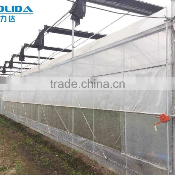 BaoLiDa Multi-span Poly Carbonate PC Agriculture Commercial Greenhouse photo-2