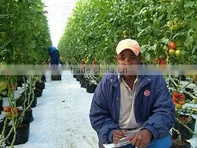 Silage Cover(green/black, Green/yellow Color Silo Sheeting) photo-6