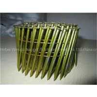Pallet Coil Nail