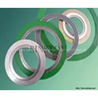 Graphite Filler Spiral Wound Gasket photo-3