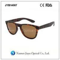 Folding Plastic Wayfarer Sunglasses