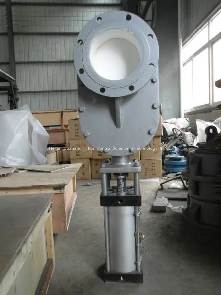 Material Handling Valve for Ash Handling System at Power Plant photo-4