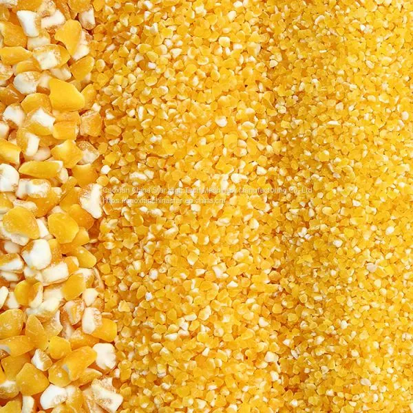 Multipurpose Corn Grain Mill Plant Mini Home Mazie Grits Making Machine Mais Crusher Barley Peeling Machine Moter-driven Corn Sheller photo-3