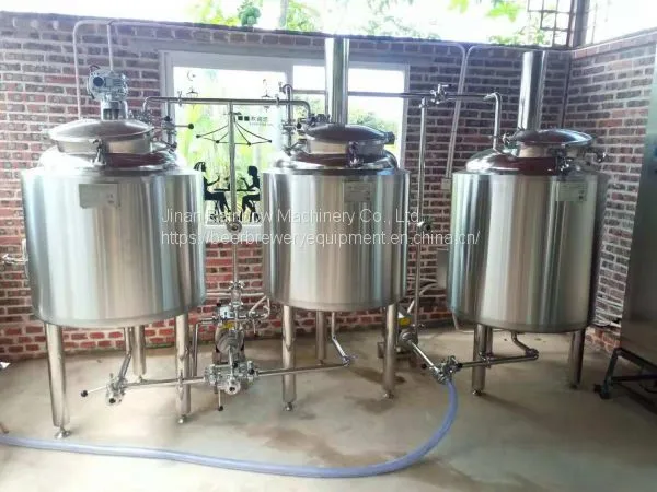 Homebrew Beer Pub Equipment for Brewery
