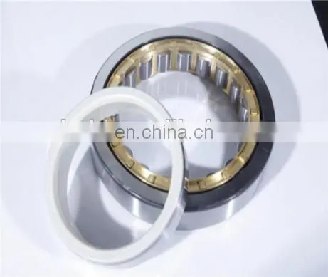 NU 330 ECM/C3VL0271 Cylindrical Roller Insulated Bearing photo-2