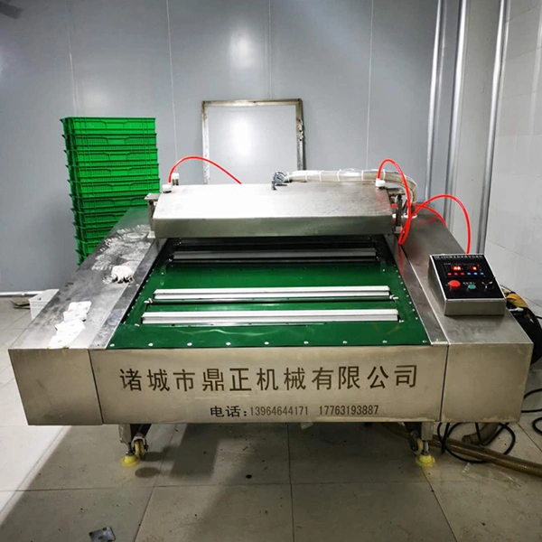 Double Chamber Vacuum Packaging Machine Commercial Fruit And Vegetable  Vacuum Packing Machine With Nitrogen Flushing 