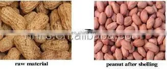 Cheap Big Model Peanut Shelling Machine Sets Peanut Sheller Group Peanut Husker Group Machine photo-3