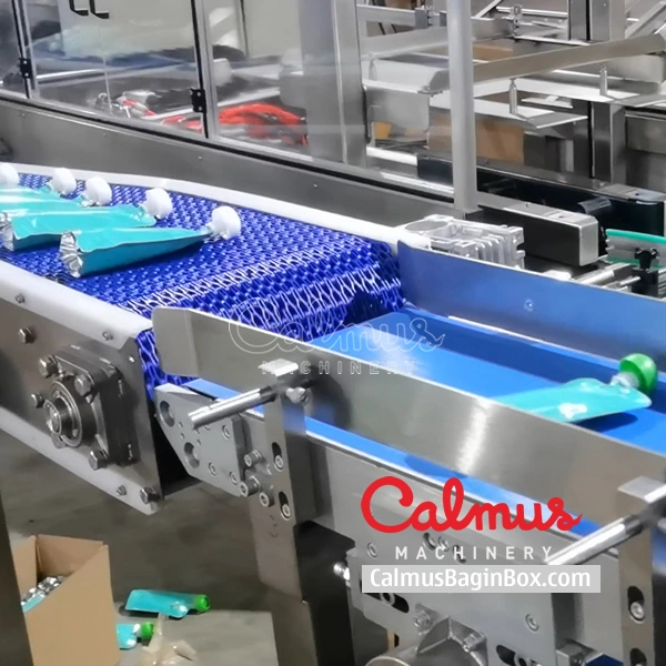 Carton Packaging Machine for Doypack Pouches photo-2