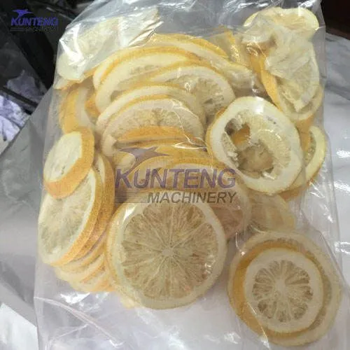 Commercial Fully Automated Industrial Vacuum Freeze Dryer Durian Lemon Food Freeze Dryers EPC photo-3