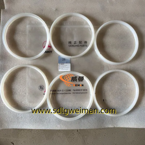 Original Sany Dichtring A230101000038 für Sany-Betonpumpenersatzteile