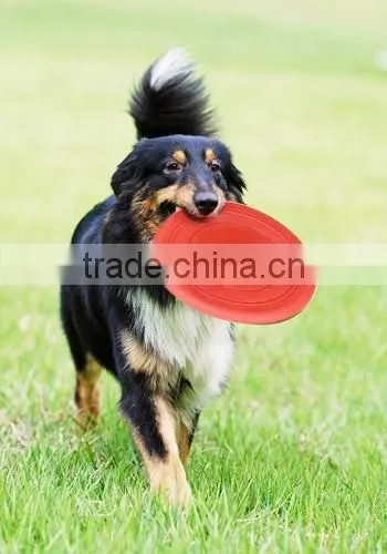 2015 Outdoor Sporting Goods Custom, Wholesale Frisbee, Dog Frisbee