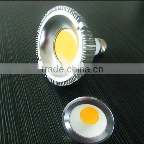 Hot Sell High Quality 10w/12w/15w Cob 110volt Led Spot Light photo-2