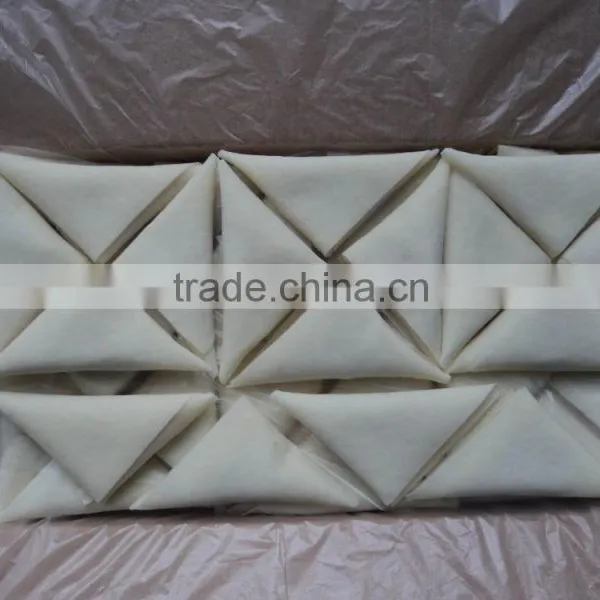 Hand-made Frozen Vegetable Samosa