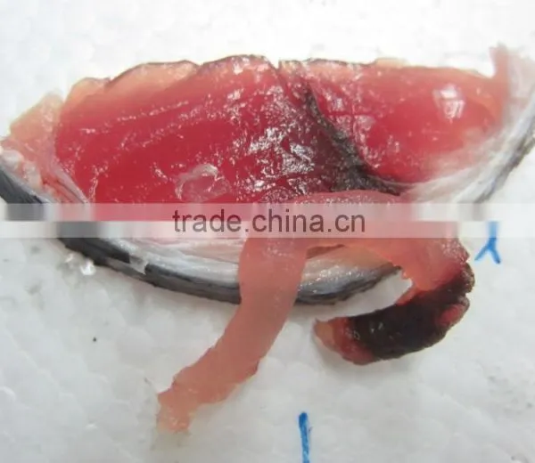 Fresh Yellowfin Tuna Loins photo-2