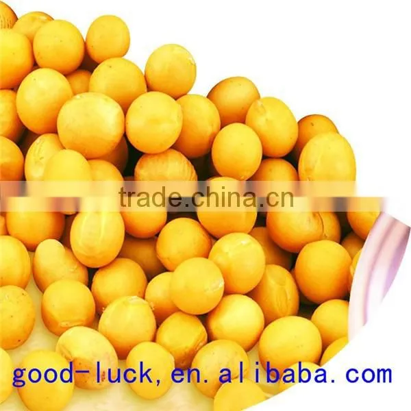 Soya Beans ,non-GMO,good Quality,cheap Price photo-2