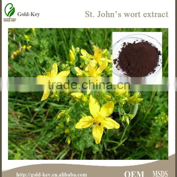 Pure Natural Plant Extracts St.John's Wort Extract for Anti-Depression photo-3