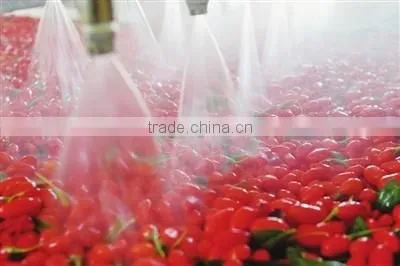 Barbary Wolfberry Fruit Fructus Lycii Ningxia Superior Fruit Goji Berries,Lycium Barbarum,Boxthorn, Red Goji Berry Nutrition photo-5