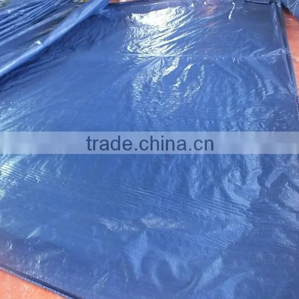 Plastic Raw Material Tarpaulin PP Sliver/blue Plastic Sheet Triangle Plastic Waterproof Anti-aging Antioxidant Factory Sell photo-6