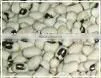 Black-eyed Beans(USA)