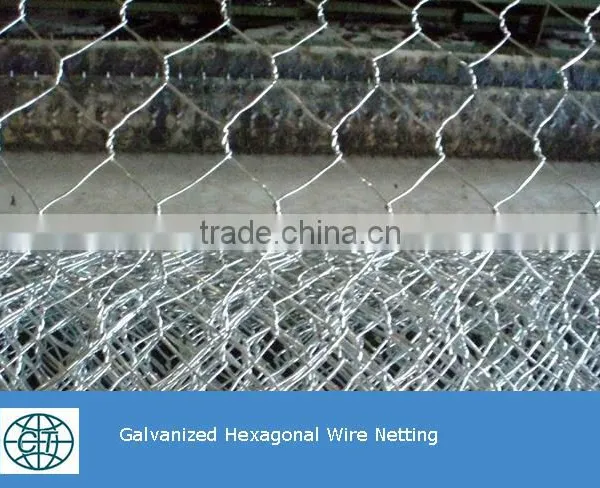 Cheap Price High Quality Fence Mesh Chicken Wire Mesh photo-6