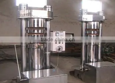 Hydraulic Small Oil Press of Hot Sale 6YY-230 for Soybean Seeds photo-3