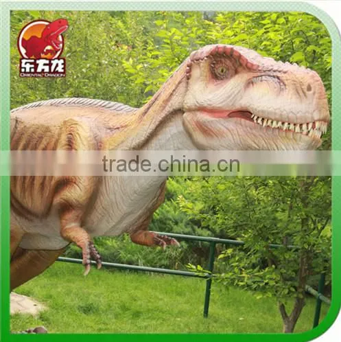 Dinosaur Education Equipment